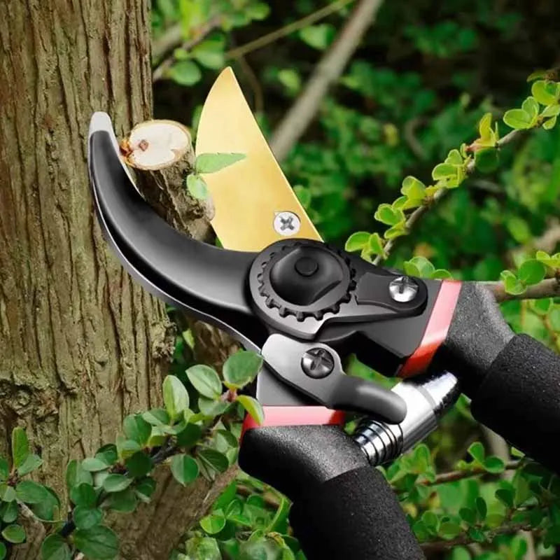 A black and red heavy-duty pruning shear with a gold blade actively cutting a small branch from a tree.